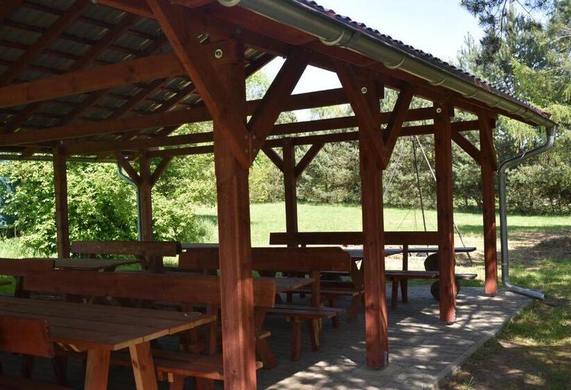 ホテル Newland Wójtowicz