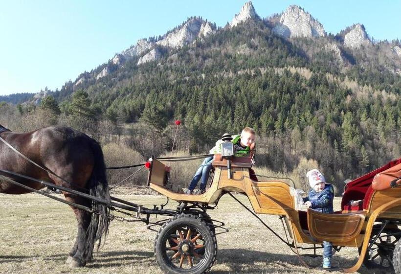 ホテル Pokoje U Pitera