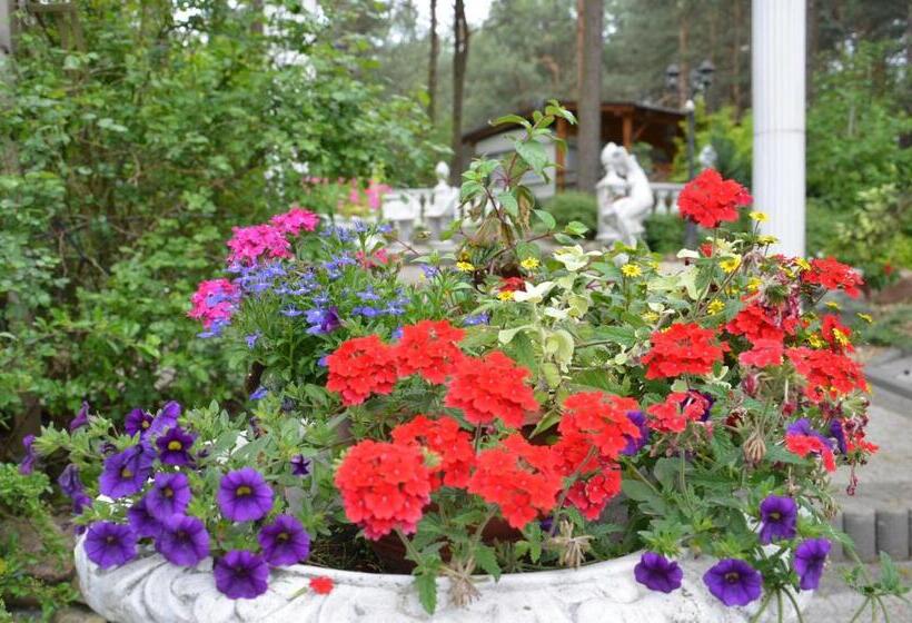 פנסיון Bed&breakfast Maciejanka