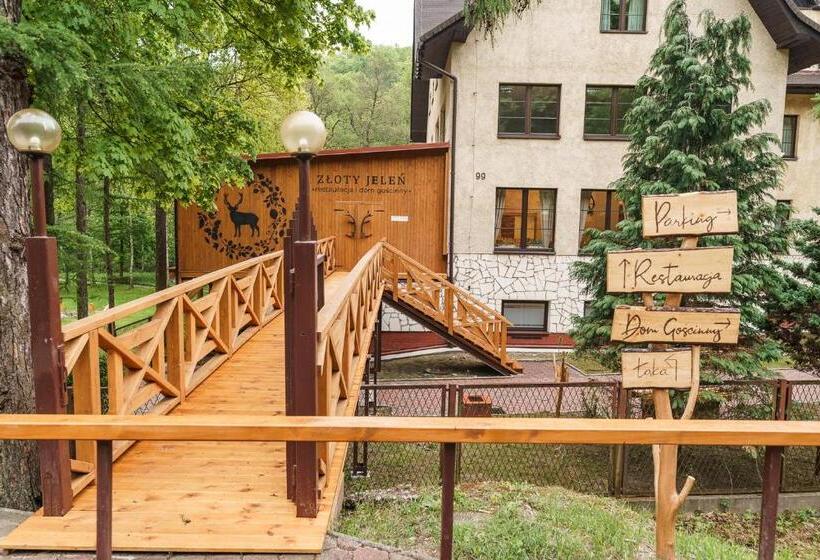 Пансион Złoty Jeleń   Restauracja I Dom Gościnny