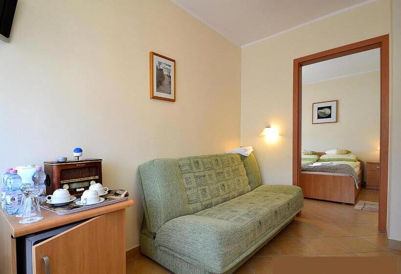 مبيت وإفطار Willa Atrium