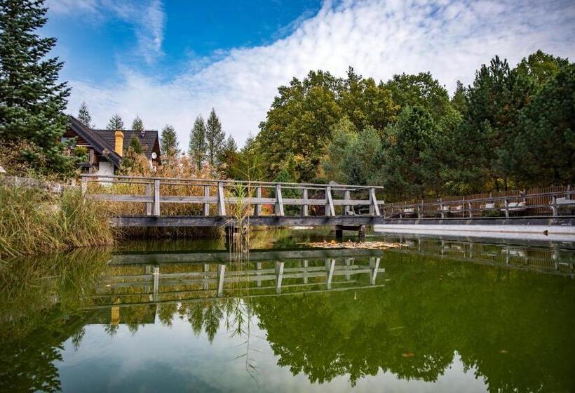 פנסיון Ostoja Wigierski