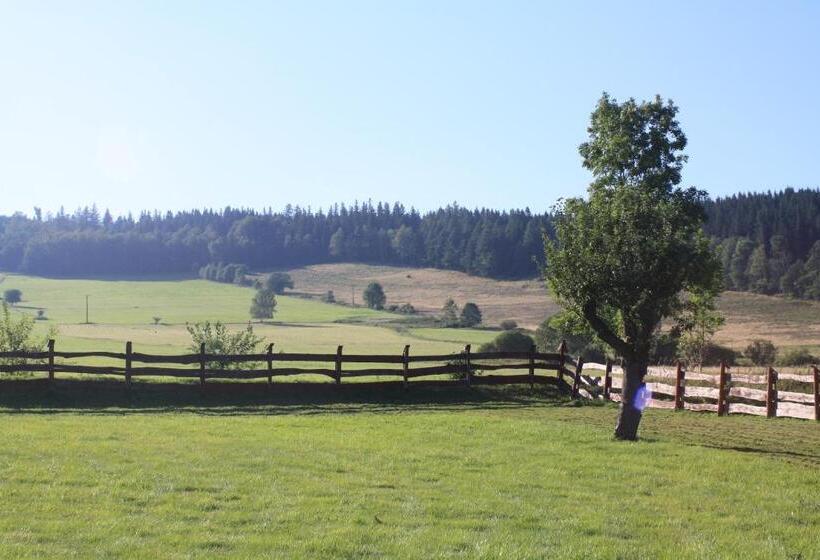 تختخواب و صبحانه Dom Na Klonowym Wzgórzu