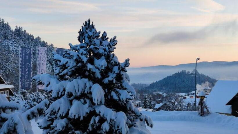 تختخواب و صبحانه Oro Cavallo