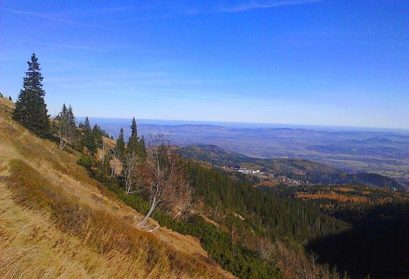 تختخواب و صبحانه Willa Grafit