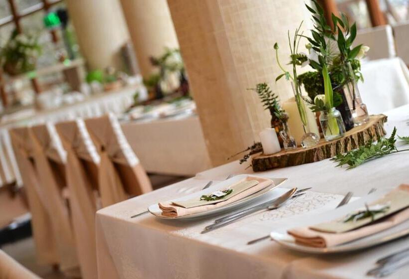 هتل Europa   Górnicza Strzecha