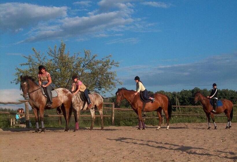 בית מלון כפרי Słowik