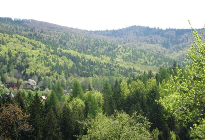 ペンション Miodowy Raj