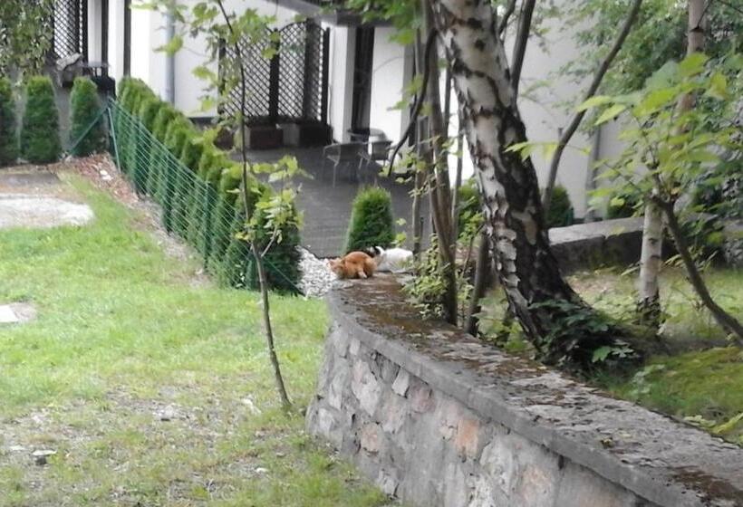 پانسیون Willa Nimfa   Pokoje I Apartamenty W Centrum