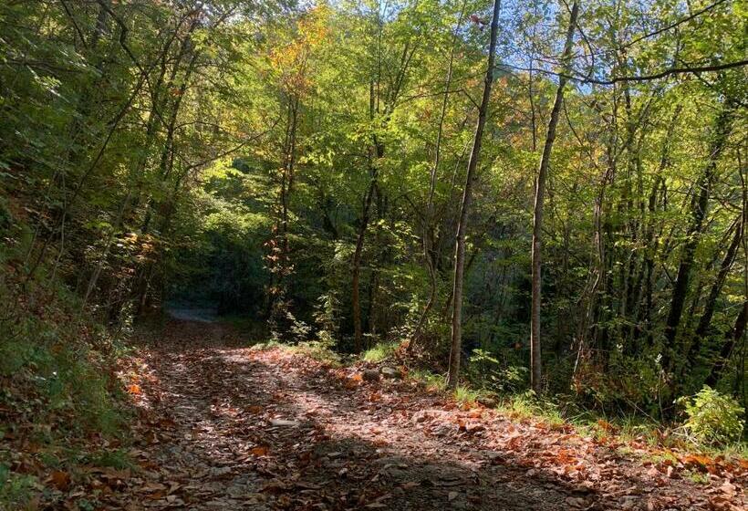 بنسيون Casa Delle Gioie