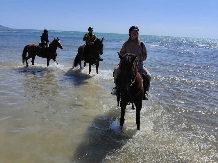فندق Tendu  Punta Bianca Glamping Camp