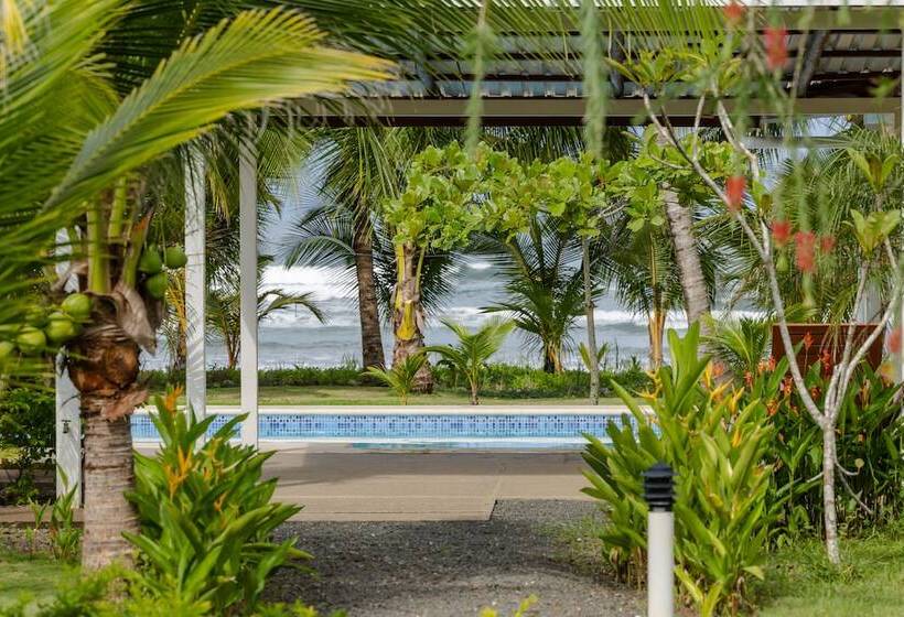 酒店 Salvatierra Beachfront