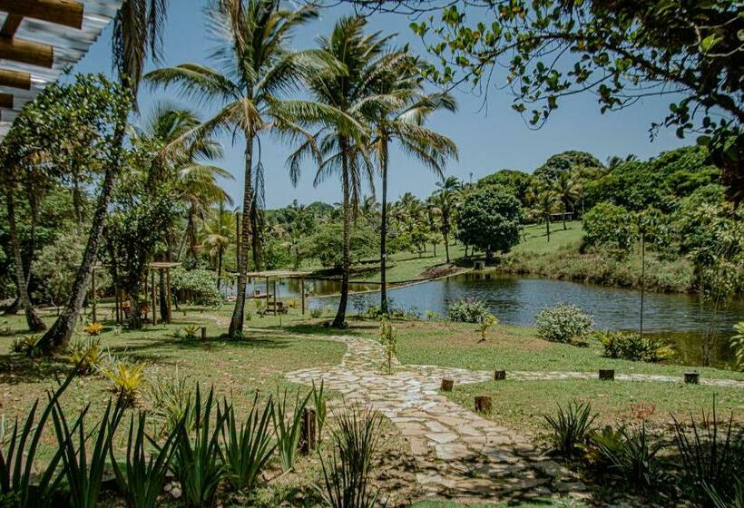 旅馆 águas De Maria   Centro De Serra