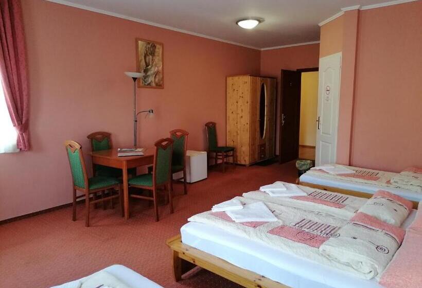 住宿加早餐 Medgyaszay Panzió