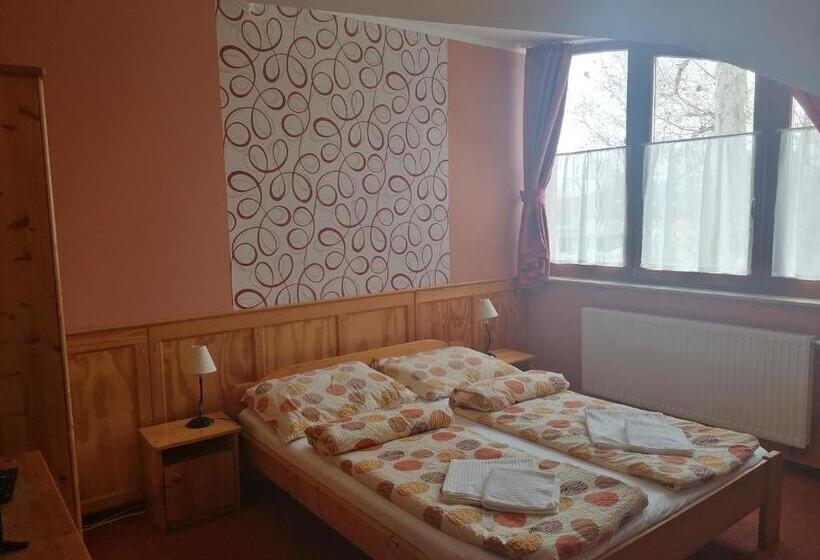住宿加早餐 Medgyaszay Panzió