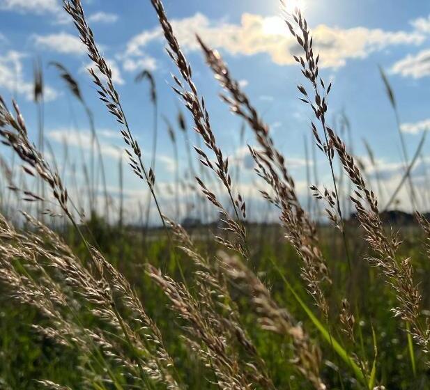 ベッドアンドブレックファースト Mediterranean Lake Escape House