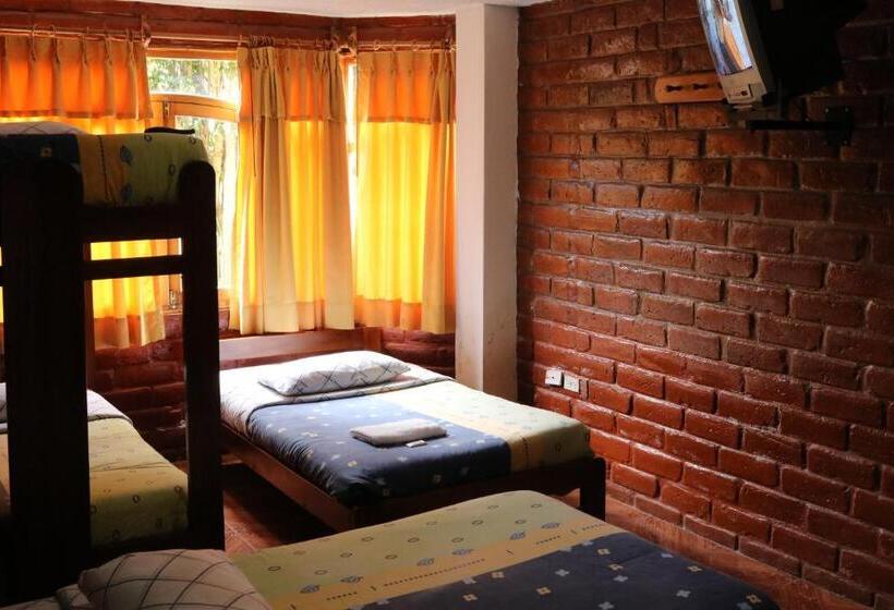 هتل Hostal Colibri 2