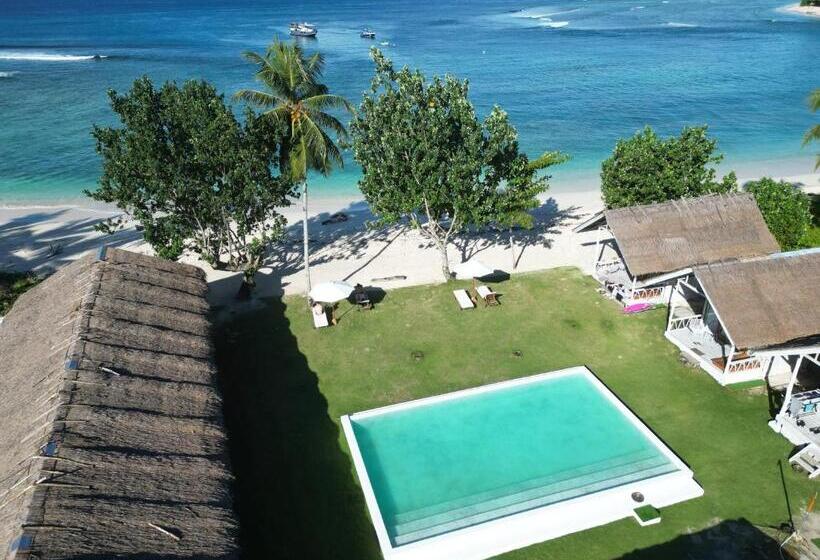 استراحتگاه La Belle Hollow Trees