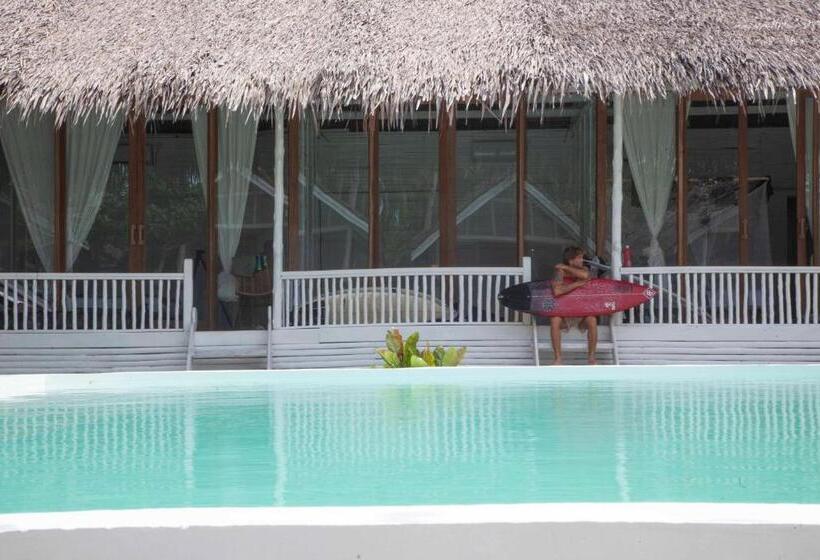 استراحتگاه La Belle Hollow Trees