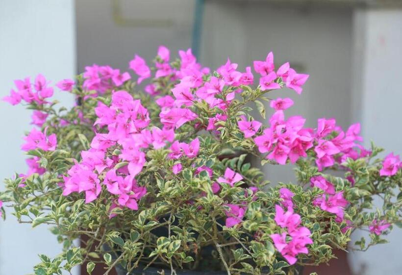 ペンション Sunil Lanka