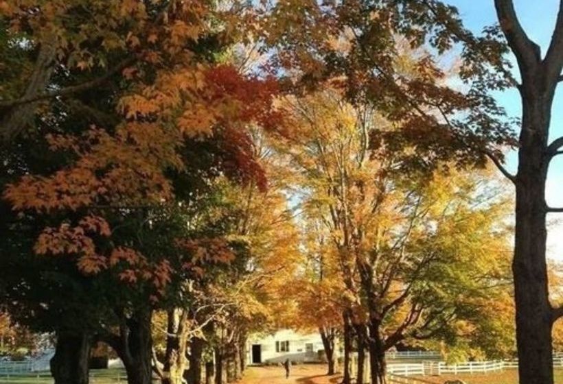 住宿加早餐  The Inn At Richmond