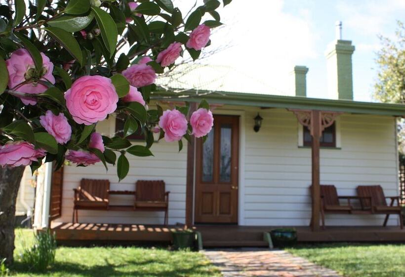مبيت وإفطار Westbury Gingerbread Cottages