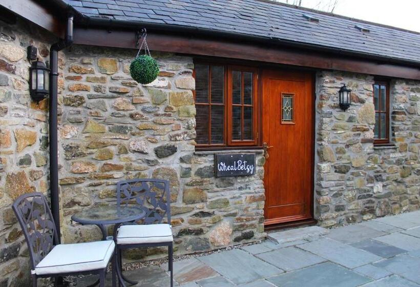 בית מלון כפרי The Mary Tavy Inn