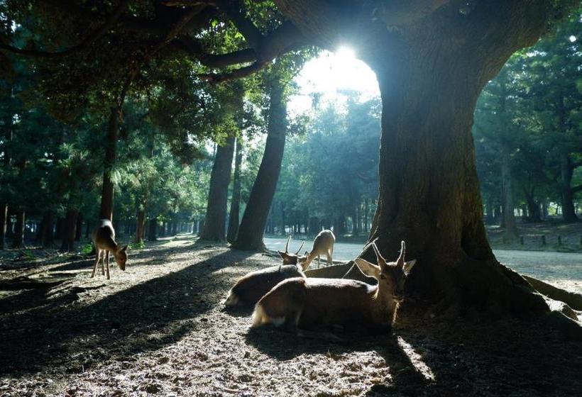 酒店 Noborioji  Nara