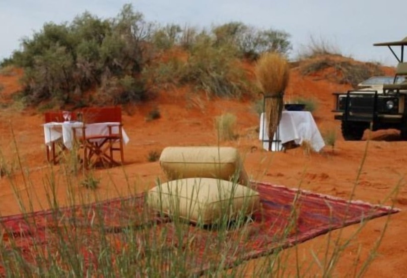 酒店 The Motse   Tswalu Kalahari Luxury Private Game Reserve