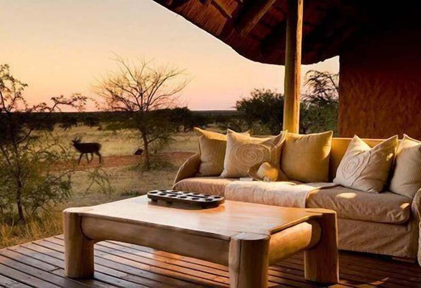 酒店 The Motse   Tswalu Kalahari Luxury Private Game Reserve