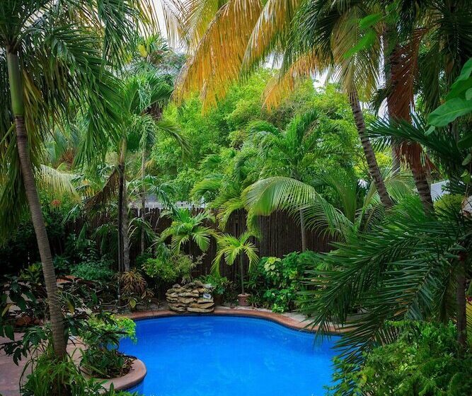 בית מלון כפרי The Palms Oceanfront Suites