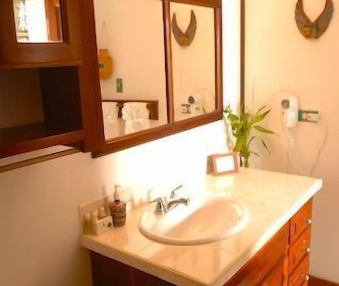 בית מלון כפרי The Palms Oceanfront Suites