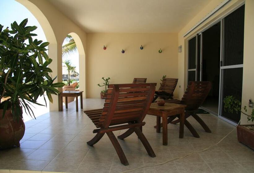 בית מלון כפרי The Palms Oceanfront Suites