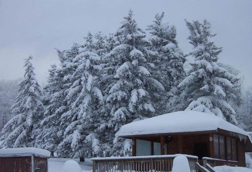 فندق على الطريق Killington Pico Motor Inn