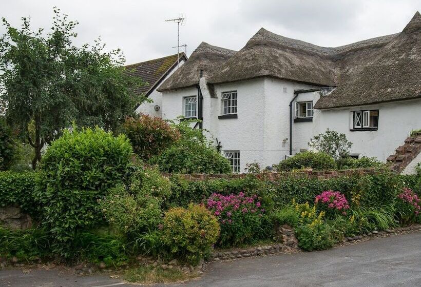 膳宿费 Southern Cross Guest House