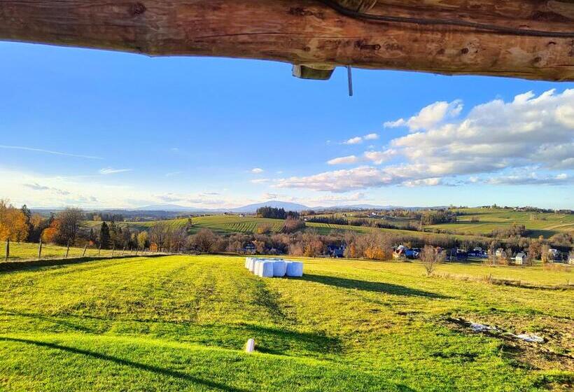 ベッドアンドブレックファースト Willa Adamówka