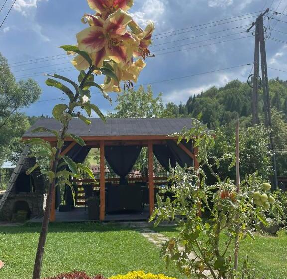 酒店 Agroturystyka Pensjonat Paula