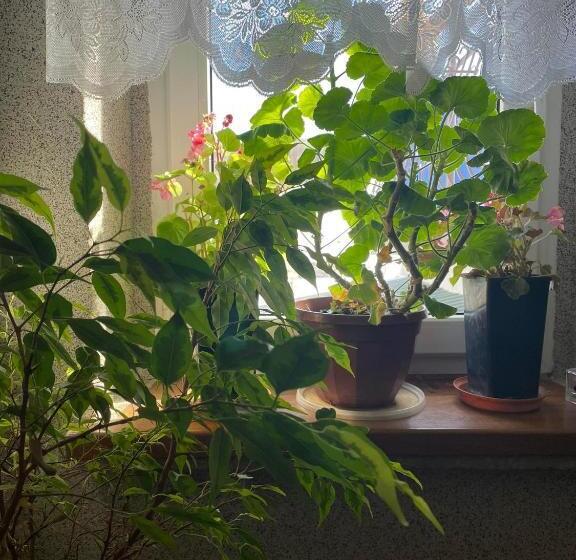 酒店 Agroturystyka Pensjonat Paula