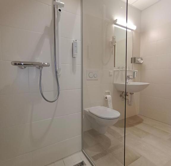호텔 Gesundheits  & Wellnessresort Salzerbad