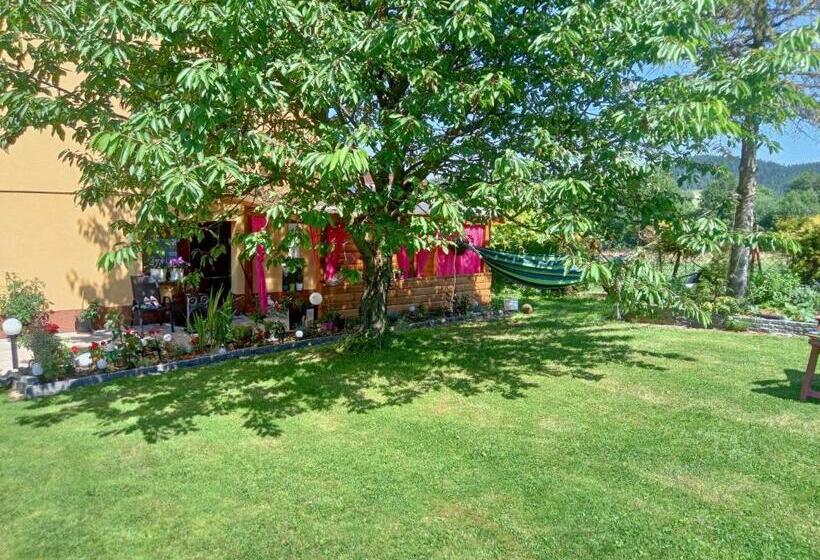 ホテル Pod Różą