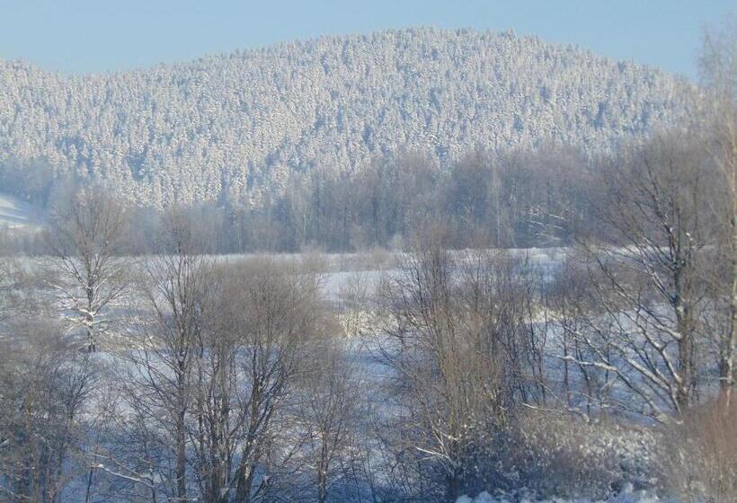 ホテル Pod Różą