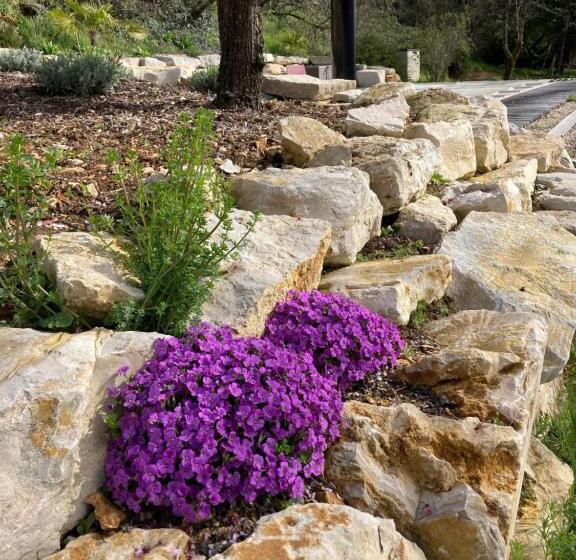 פנסיון La Nature Des Sens   Gîte Les Cèdres