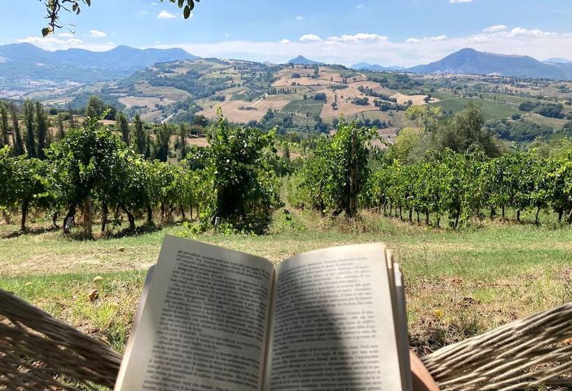 Villa Verdicchio   B&b With Wellness For Winelovers