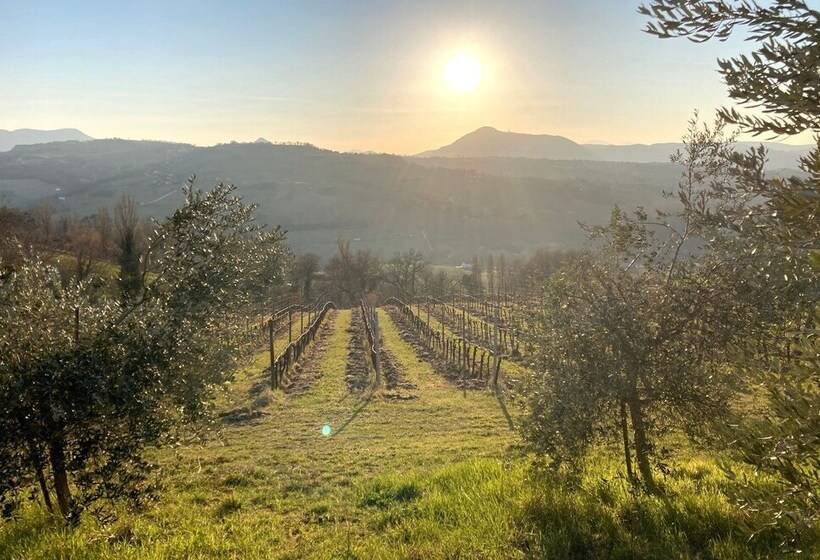 Villa Verdicchio   B&b With Wellness For Winelovers