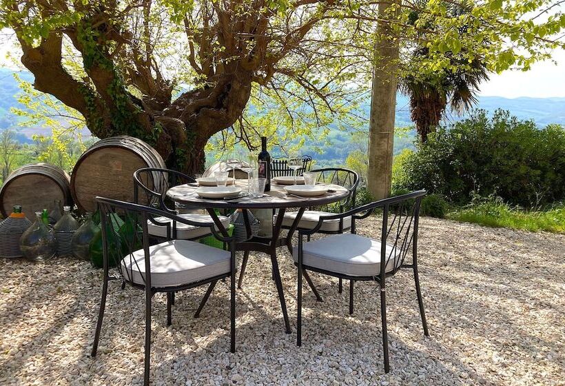 Villa Verdicchio   B&b With Wellness For Winelovers