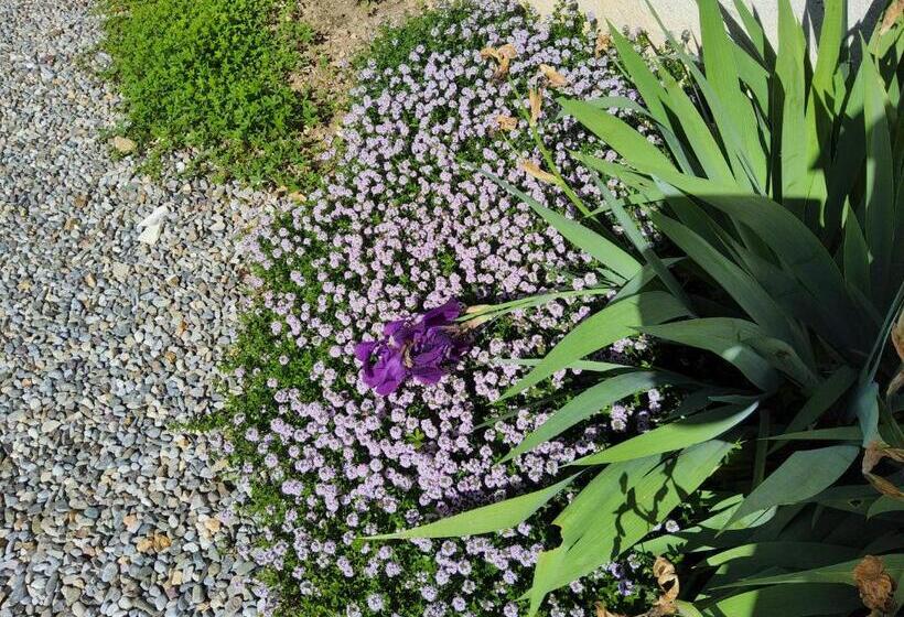 ベッドアンドブレックファースト Corte Martinola Bed&breakfast In Franciacorta