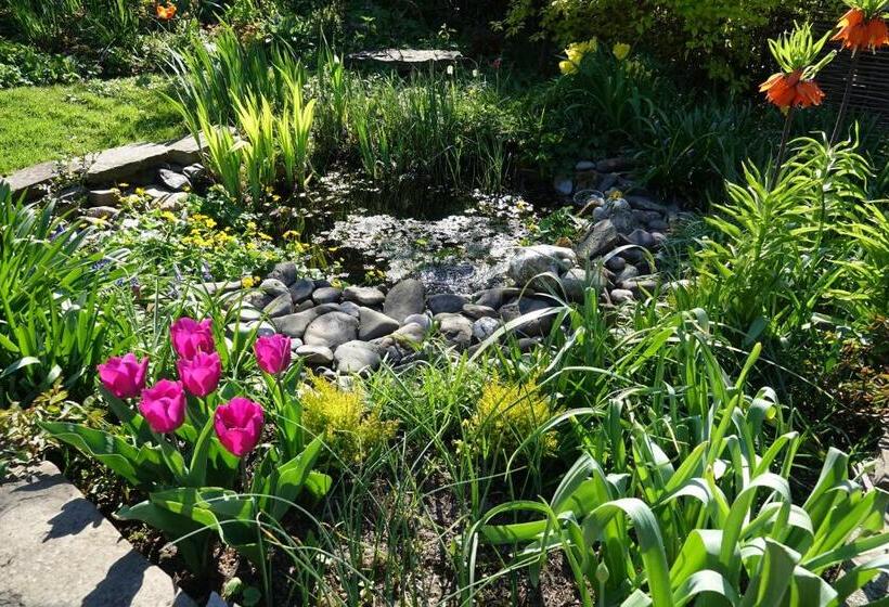 ベッドアンドブレックファースト Le Jardin Des Miroirs