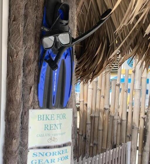 בית מלון כפרי The Bounty