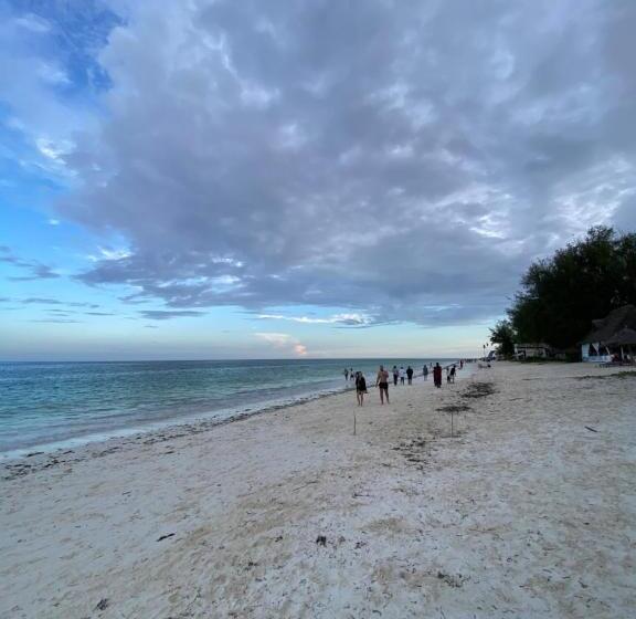 Jambiani Backpackers Hostel