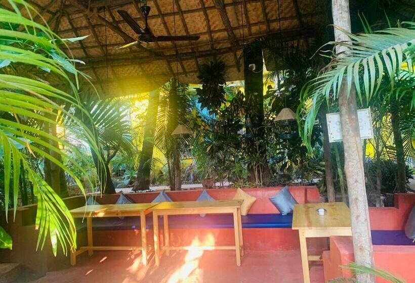 پانسیون Swati